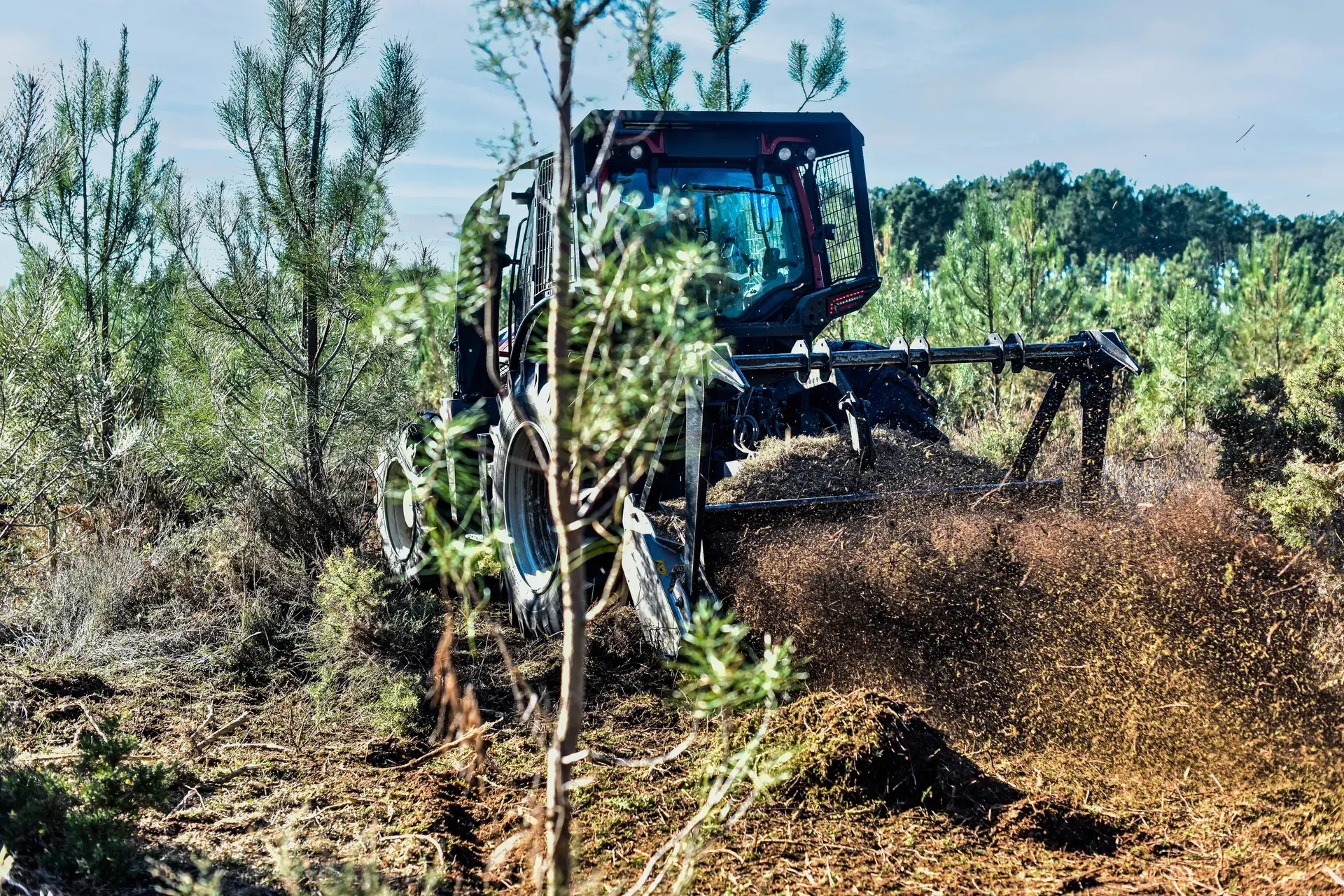Land Clearing
